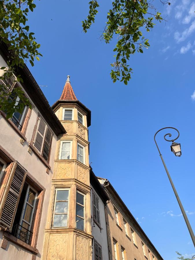 Le Baumann Concept: Appartement De Charme Dans Un Monument Historique コルマール エクステリア 写真